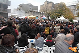 Santa Ninfa 19 11 2016 328.jpg